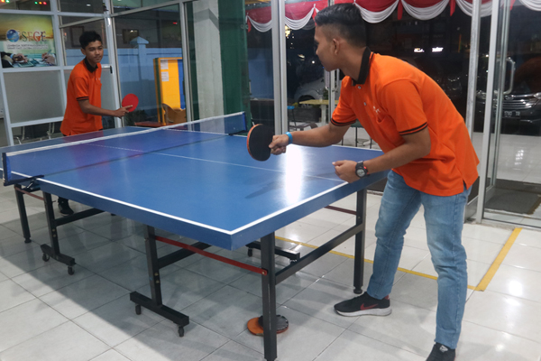 pingpong